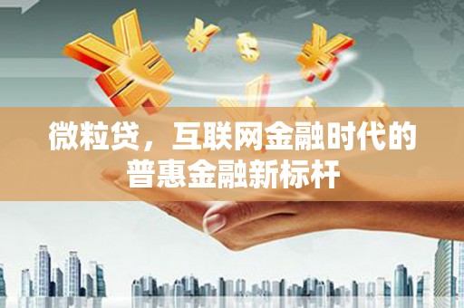 龙崎微粒贷，互联网金融时代的普惠金融新标杆
