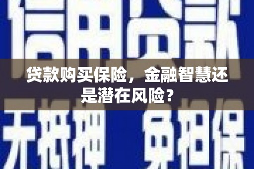 龙崎贷款购买保险，金融智慧还是潜在风险？
