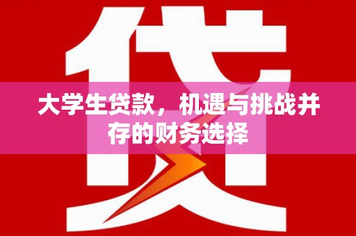 龙崎大学生贷款，机遇与挑战并存的财务选择