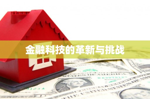 龙崎金融科技的革新与挑战