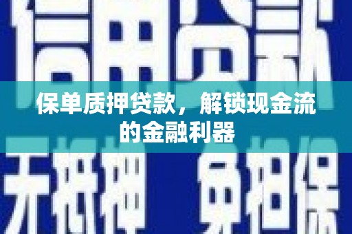龙崎保单质押贷款，解锁现金流的金融利器