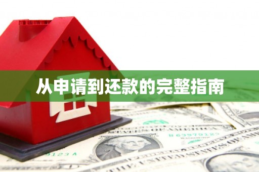 龙崎从申请到还款的完整指南