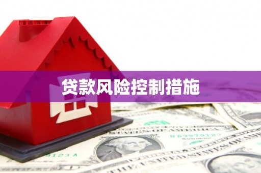 龙崎贷款风险控制措施