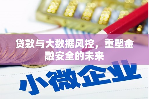龙崎贷款与大数据风控，重塑金融安全的未来