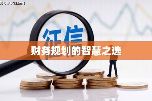 龙崎财务规划的智慧之选