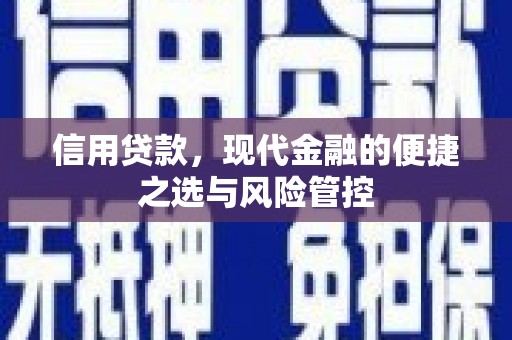 龙崎信用贷款，现代金融的便捷之选与风险管控