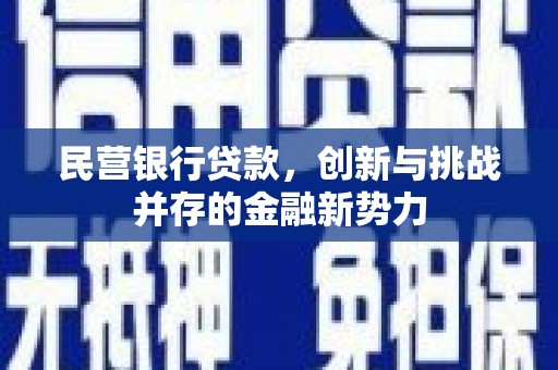 龙崎民营银行贷款，创新与挑战并存的金融新势力