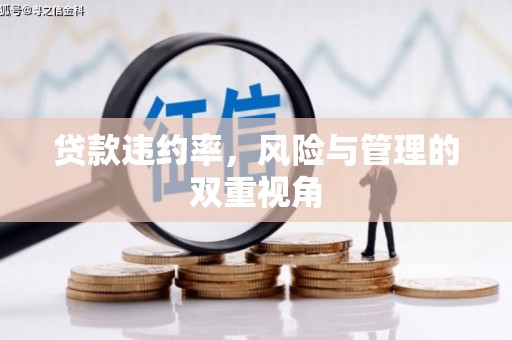 龙崎贷款违约率，风险与管理的双重视角