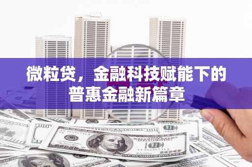 龙崎微粒贷，金融科技赋能下的普惠金融新篇章