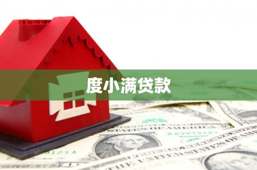 龙崎度小满贷款