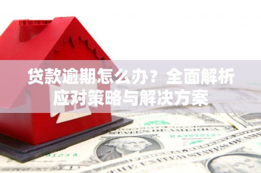 龙崎贷款逾期怎么办？全面解析应对策略与解决方案