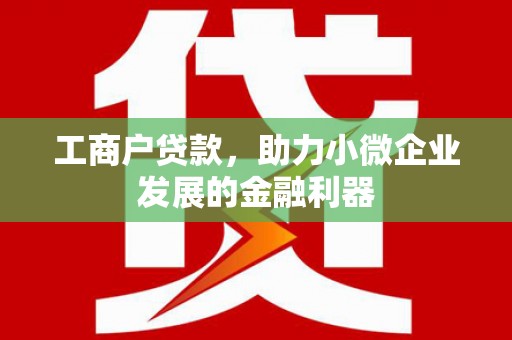 龙崎工商户贷款，助力小微企业发展的金融利器