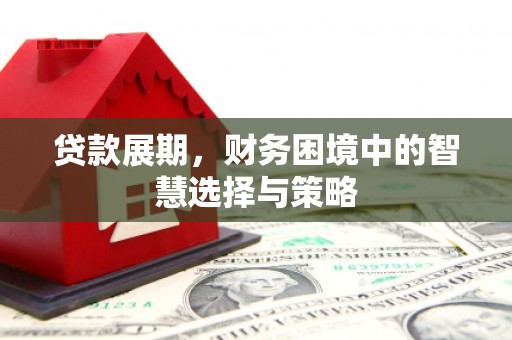 龙崎贷款展期，财务困境中的智慧选择与策略