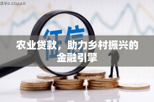 龙崎农业贷款，助力乡村振兴的金融引擎
