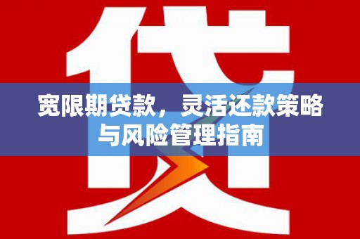 龙崎宽限期贷款，灵活还款策略与风险管理指南