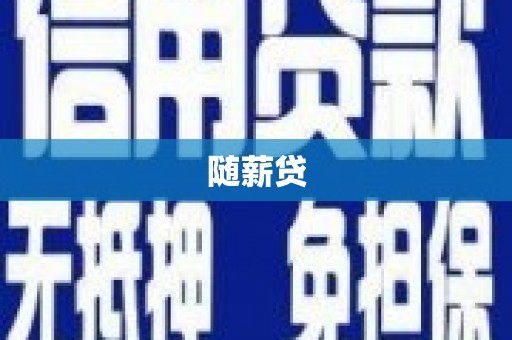 龙崎随薪贷