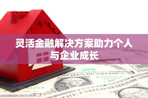 龙崎灵活金融解决方案助力个人与企业成长