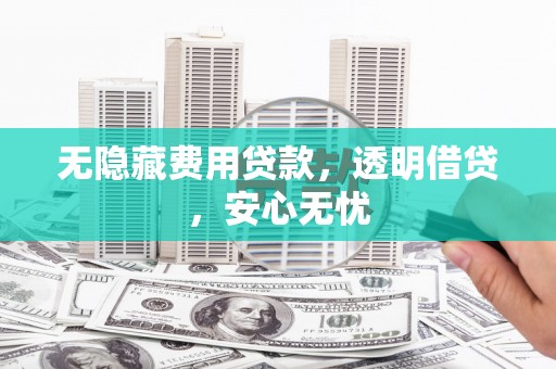 龙崎无隐藏费用贷款，透明借贷，安心无忧