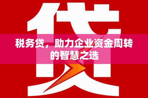 龙崎税务贷，助力企业资金周转的智慧之选