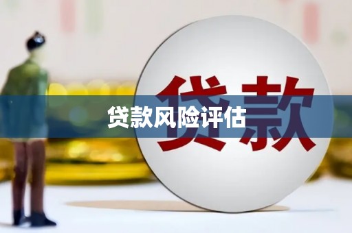龙崎贷款风险评估