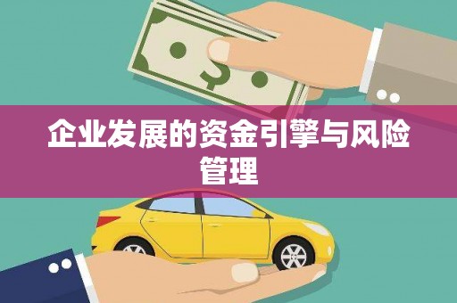龙崎企业发展的资金引擎与风险管理
