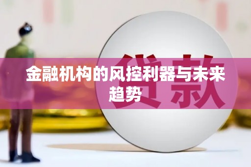 龙崎金融机构的风控利器与未来趋势