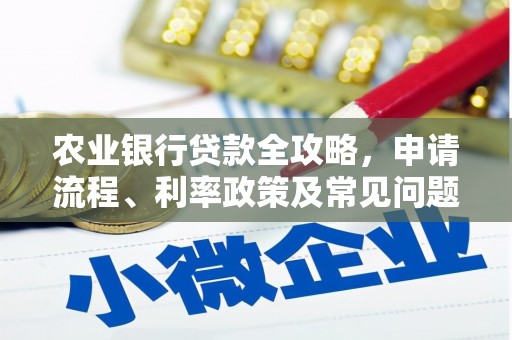 龙崎农业银行贷款全攻略，申请流程、利率政策及常见问题解析
