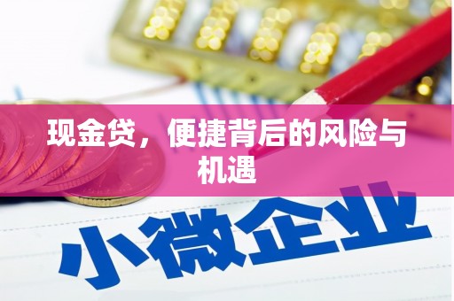 龙崎现金贷，便捷背后的风险与机遇