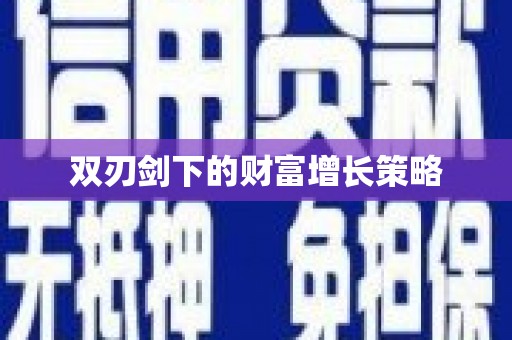龙崎双刃剑下的财富增长策略