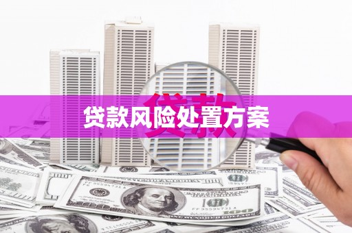 龙崎贷款风险处置方案
