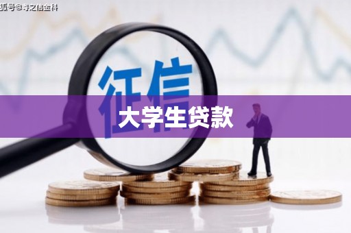 龙崎大学生贷款