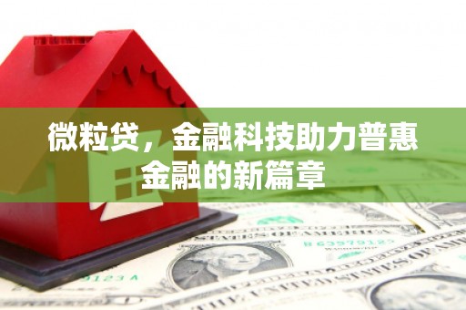 龙崎微粒贷，金融科技助力普惠金融的新篇章