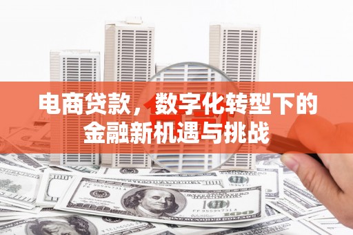 龙崎电商贷款，数字化转型下的金融新机遇与挑战