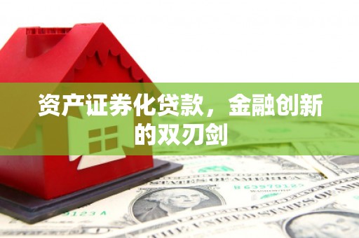 龙崎资产证券化贷款，金融创新的双刃剑
