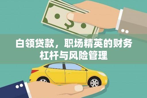 龙崎白领贷款，职场精英的财务杠杆与风险管理