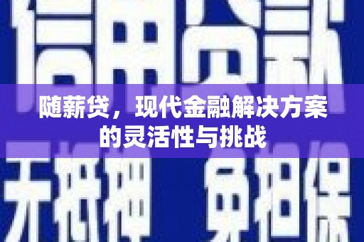 龙崎随薪贷，现代金融解决方案的灵活性与挑战