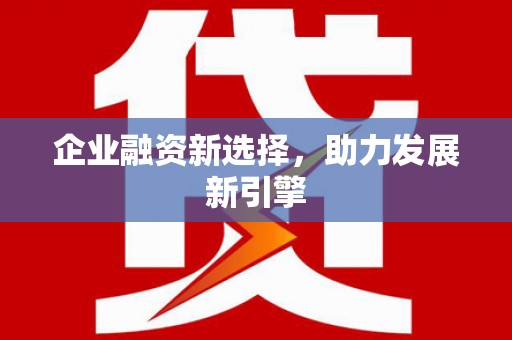龙崎企业融资新选择，助力发展新引擎