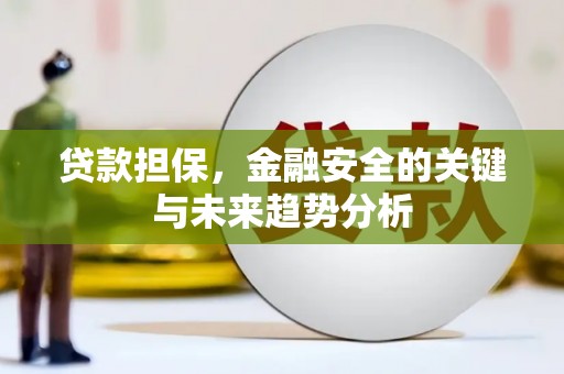 龙崎贷款担保，金融安全的关键与未来趋势分析