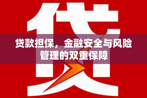 龙崎贷款担保，金融安全与风险管理的双重保障