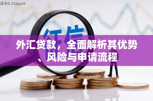 龙崎外汇贷款，全面解析其优势、风险与申请流程