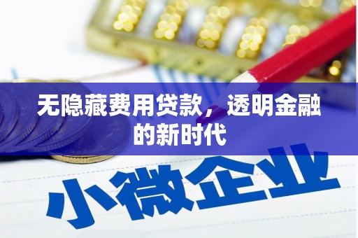 龙崎无隐藏费用贷款，透明金融的新时代