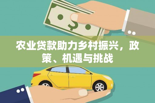 龙崎农业贷款助力乡村振兴，政策、机遇与挑战
