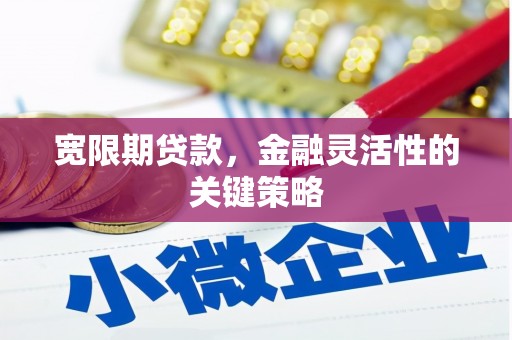 龙崎宽限期贷款，金融灵活性的关键策略