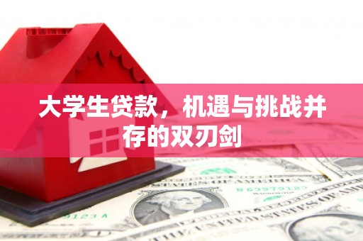 龙崎大学生贷款，机遇与挑战并存的双刃剑