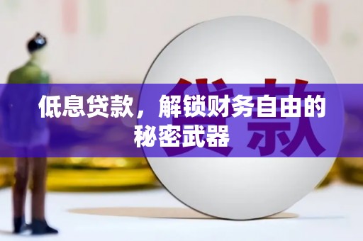 龙崎低息贷款，解锁财务自由的秘密武器