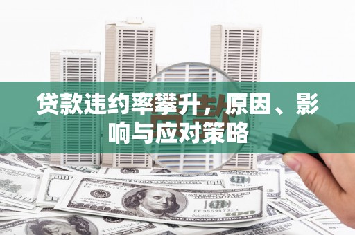 龙崎贷款违约率攀升，原因、影响与应对策略