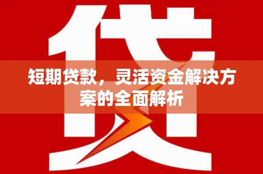 龙崎短期贷款，灵活资金解决方案的全面解析