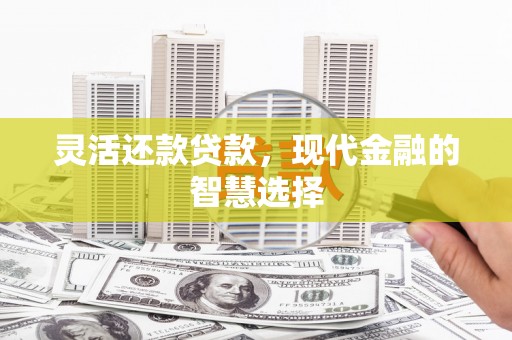 龙崎灵活还款贷款，现代金融的智慧选择