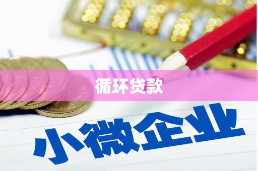 龙崎循环贷款