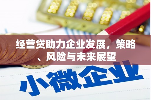 龙崎经营贷助力企业发展，策略、风险与未来展望